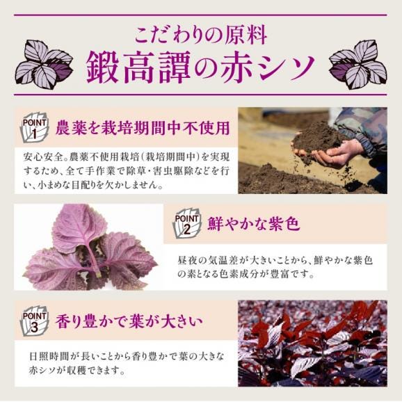 TAN・TAKA・TAN GIN（鍛高譚ジン）【700ml】_I010-040704
