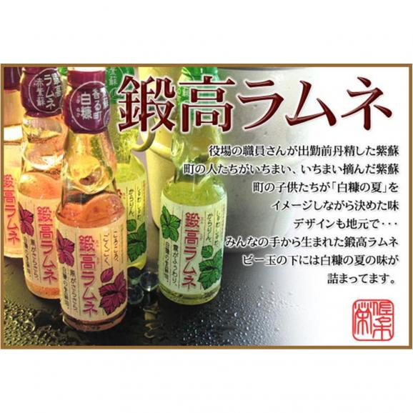 鍛高ラムネ(青・赤)【30本入り】_I013-017802