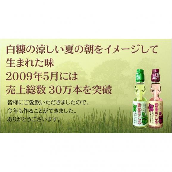 鍛高ラムネ(青・赤)【30本入り】_I013-017803