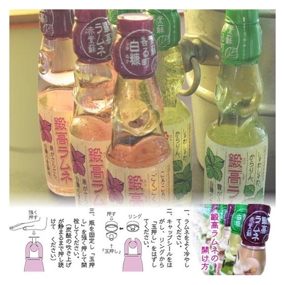 鍛高ラムネ(青・赤)【30本入り】_I013-017805