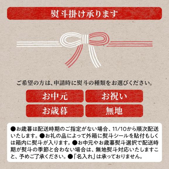 鍛高ラムネ(青・赤)【30本入り】_I013-017806