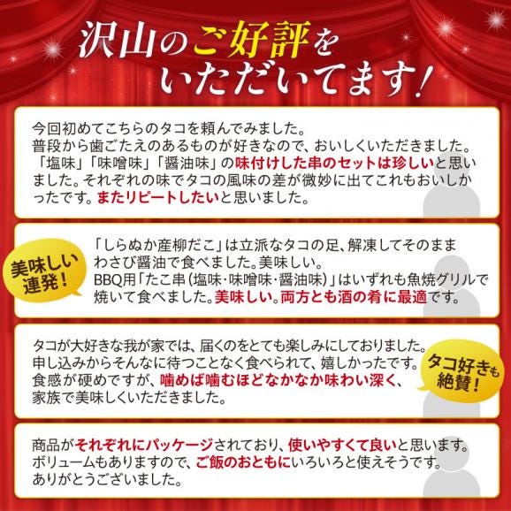 「しらぬか産柳だこ」とBBQに「たこ串(塩味・味噌味・醤油味)」のセット_I017-013702