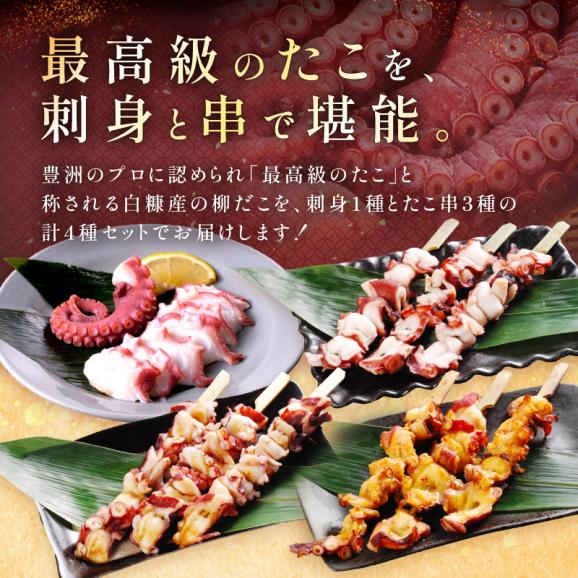 「しらぬか産柳だこ」とBBQに「たこ串(塩味・味噌味・醤油味)」のセット_I017-013703