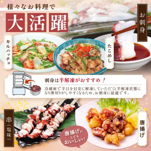 「しらぬか産柳だこ」とBBQに「たこ串(塩味・味噌味・醤油味)」のセット_I017-013706