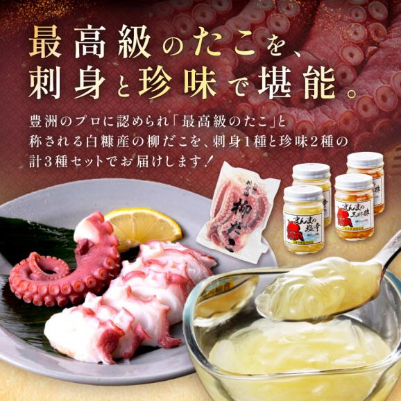 しらぬか産柳だこ(600g)と珍味(まんまの三杯酢・まんまの塩辛)の計3種セット_I017-046903