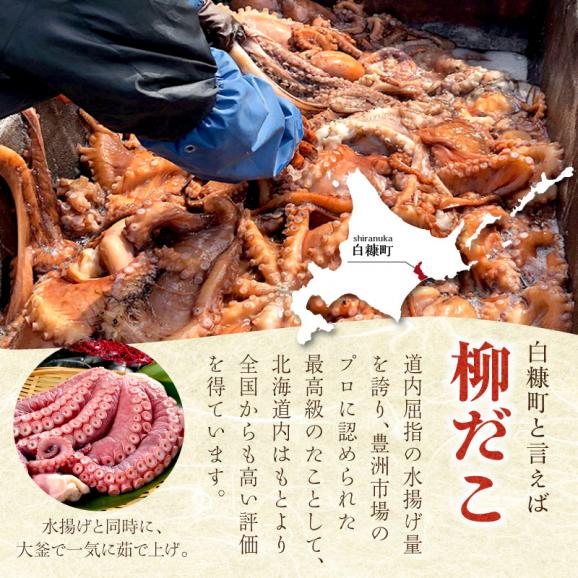 しらぬか産柳だこ(600g)と珍味(まんまの三杯酢・まんまの塩辛)の計3種セット_I017-046904