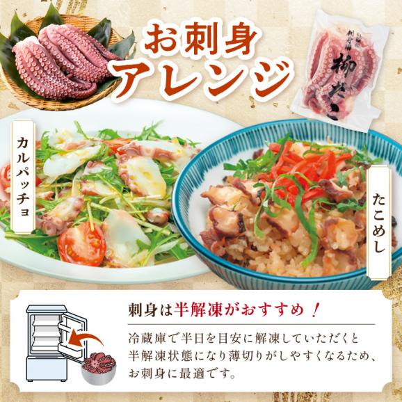 しらぬか産柳だこ(600g)と珍味(まんまの三杯酢・まんまの塩辛)の計3種セット_I017-046906