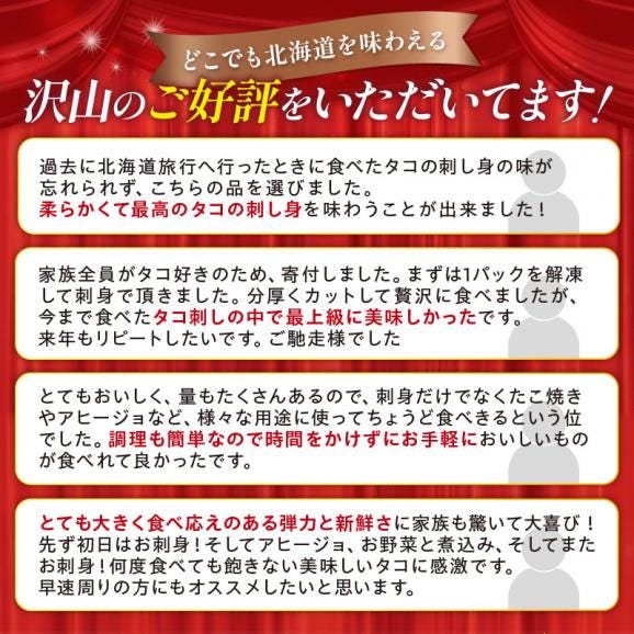 しらぬか産刺身用柳だこ【600g×2個入り】_I016-013602