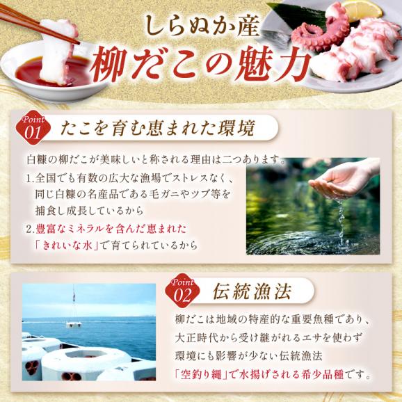 しらぬか産刺身用柳だこ【600g×2個入り】_I016-013603