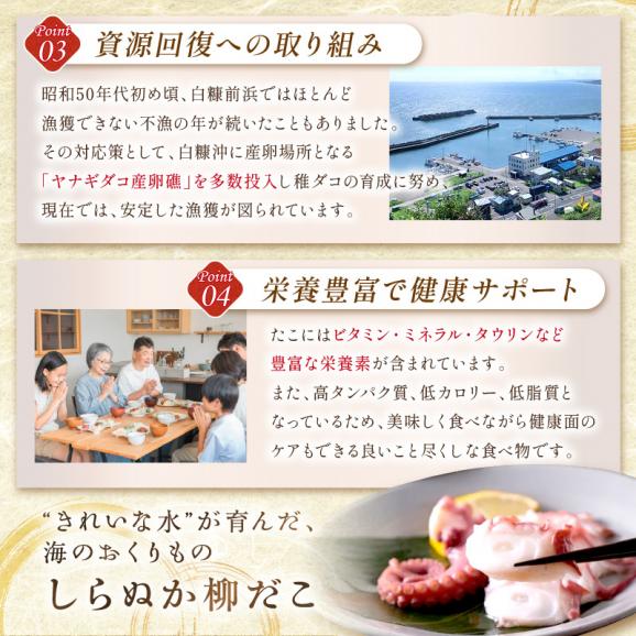 しらぬか産刺身用柳だこ【600g×2個入り】_I016-013604