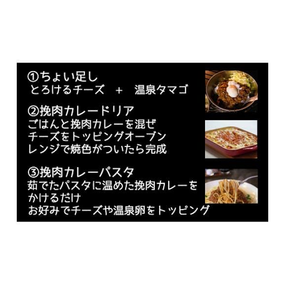 エゾシカ肉の挽肉カレー 【1人前(180g)×5個】_I010-062703