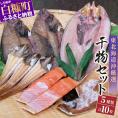 干物セット【5種類計10枚】_I010-0381