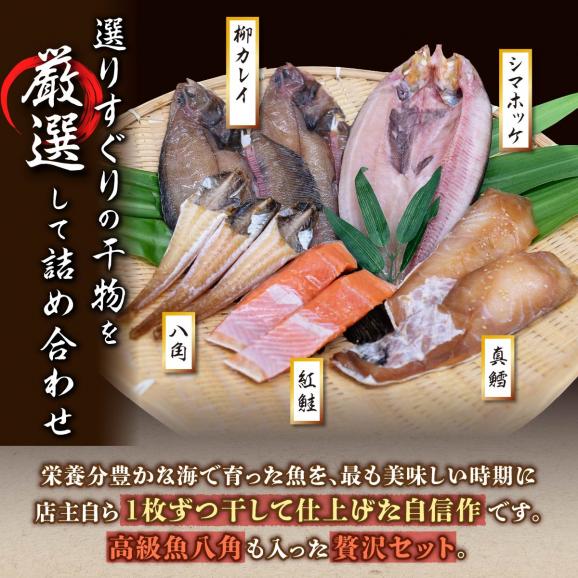 干物セット【5種類計10枚】_I010-038102