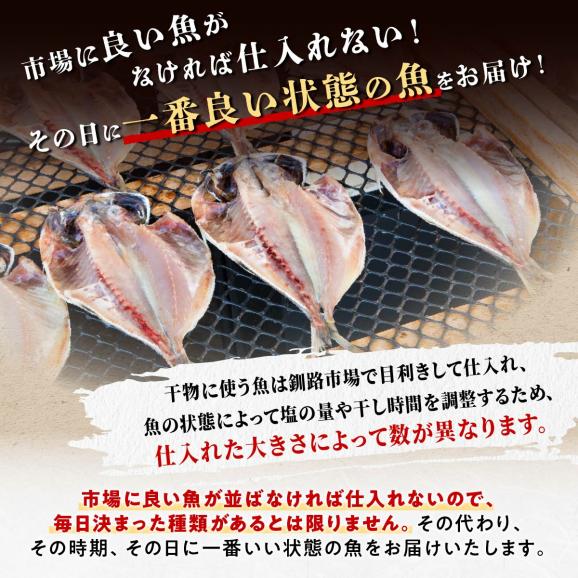干物セット【5種類計10枚】_I010-038103