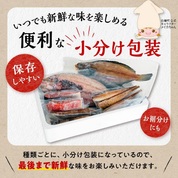 干物セット【5種類計10枚】_I010-038106