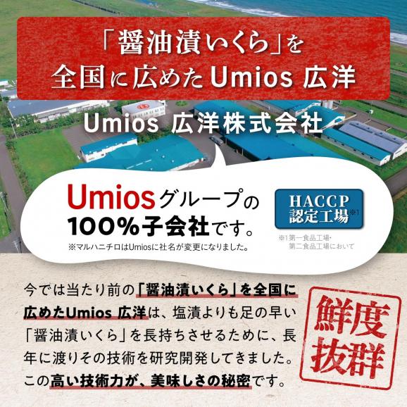 いくら醤油漬（鮭卵）【400g（200g&times;2）】_K022-1676-260502