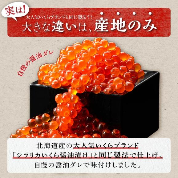 醤油漬鮭いくら【400g（200g×2）】_K015-098803