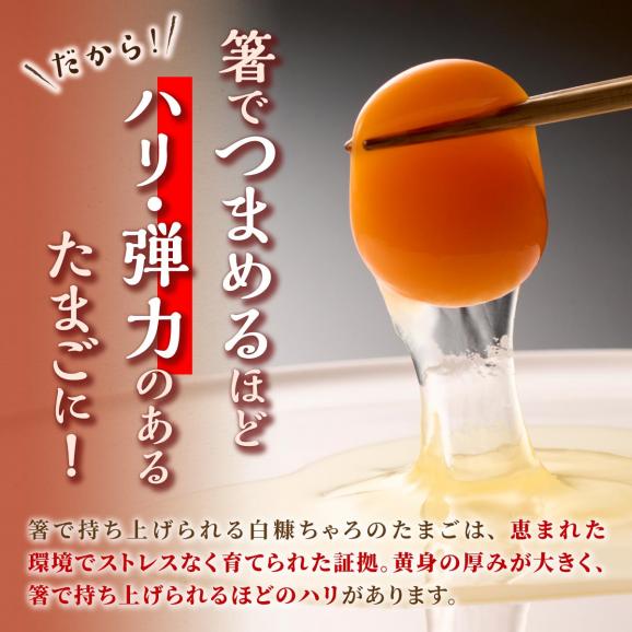 たかはしさんの新鮮卵30個_I010-053303