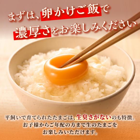 たかはしさんの新鮮卵30個_I010-053304