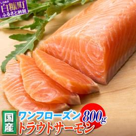 国産ワンフローズントラウトサーモン【800g】_T011-1232