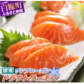 国産ワンフローズントラウトサーモン【850g】_T011-0874