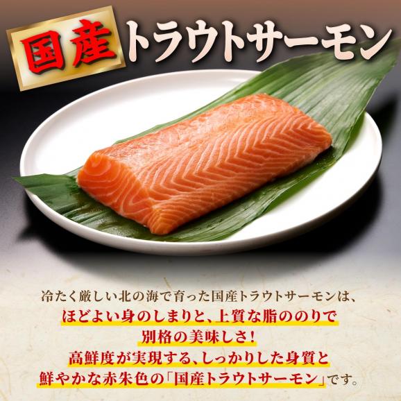 国産ワンフローズントラウトサーモン【800g】_T011-123202