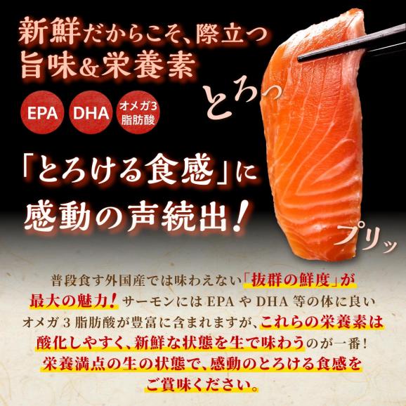 国産ワンフローズントラウトサーモン【800g】_T011-123203