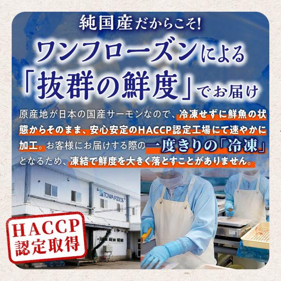 国産ワンフローズントラウトサーモン【800g】_T011-123204