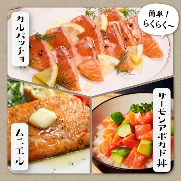 国産ワンフローズントラウトサーモン【800g】_T011-123205