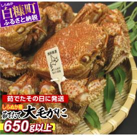 しらぬか産 茹でたて大サイズ毛がに【650g以上】_I064-0559