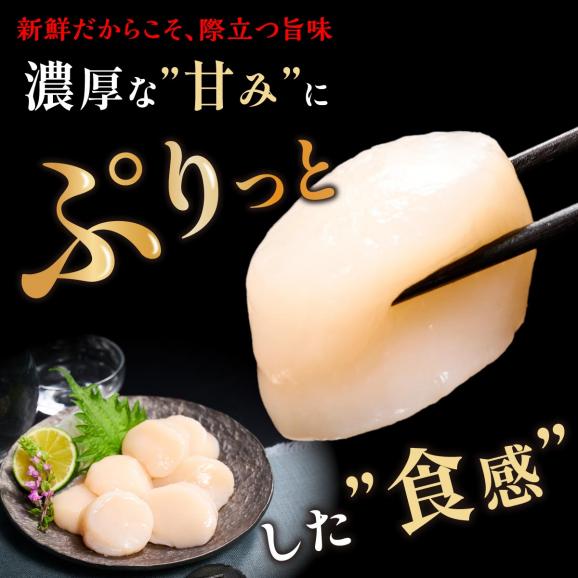 オホーツク産お刺身用ホタテ大サイズ(3S)【750g（250g×3）】_K012-071402