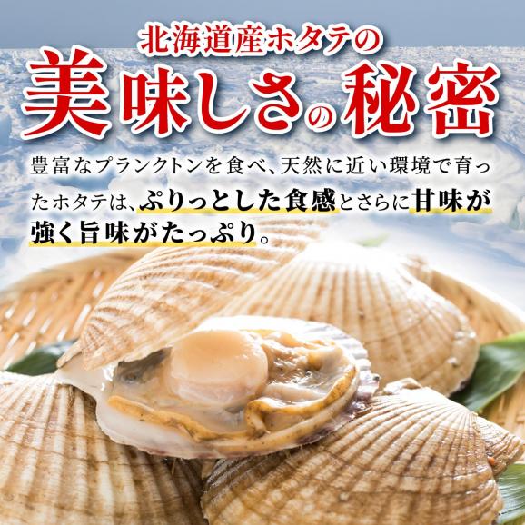 オホーツク産お刺身用ホタテ大サイズ(3S)【750g（250g×3）】_K012-071403