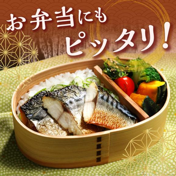 レンジで焼さば【12枚】（フィレ二分割）_T011-153104