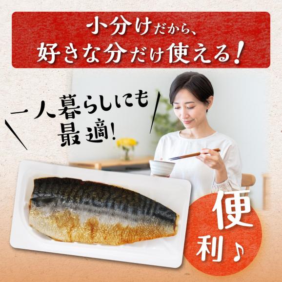 レンジで焼さば【12枚】（フィレ二分割）_T011-153106