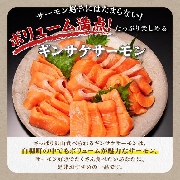 ※2025年7月末までにお届け※ギンサケサーモン【1kg】_T011-0905-250702
