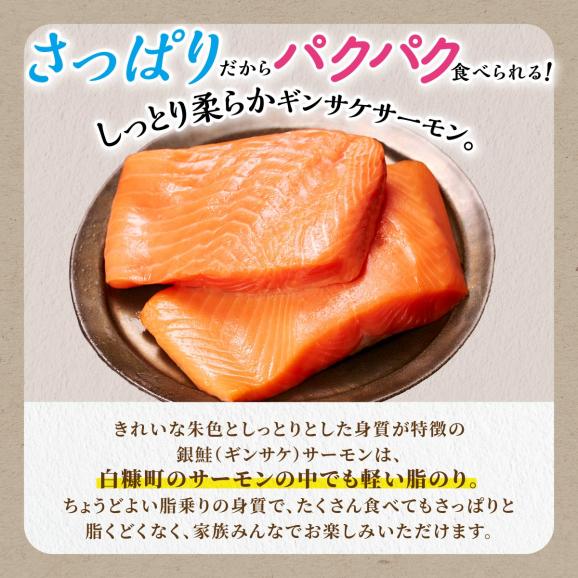 ※2025年7月末までにお届け※ギンサケサーモン【1kg】_T011-0905-250703