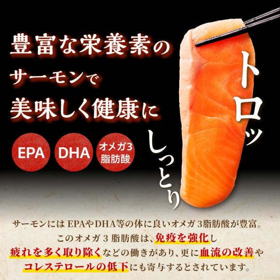 ※2025年7月末までにお届け※ギンサケサーモン【1kg】_T011-0905-250704