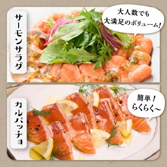 ※2025年7月末までにお届け※ギンサケサーモン【1kg】_T011-0905-250706