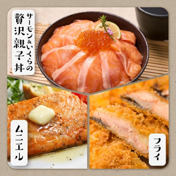 ギンサケサーモン 2kg 小分け 下処理不要 ふるさと納税 海鮮 サーモン 鮭 魚 銀鮭 刺身 生食用 さけ サケ ふるさと ランキング 人気 魚介類 魚介 北海道 白糠_T021-1105-250906