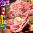 ラム肉焼肉ステーキセットA【600g×2パック】_I042-0445