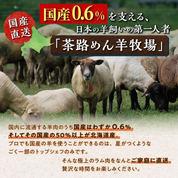 焼肉用ラム肉スライス【250g×2パック、オリジナルスパイス10g】_I017-044202