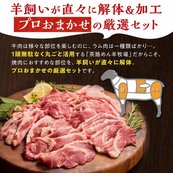 焼肉用ラム肉スライス【250g×2パック、オリジナルスパイス10g】_I017-044204