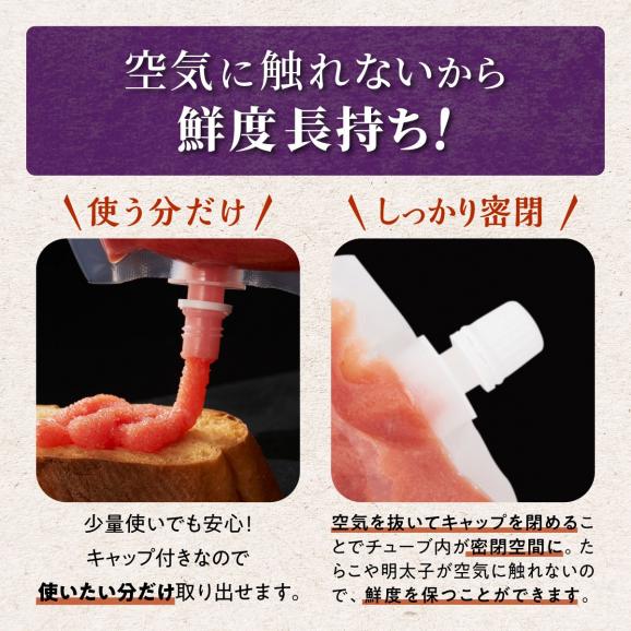キャップ付きチューブタイプ ほぐしたらこ【250g×4 合計1kg】_I007-069303