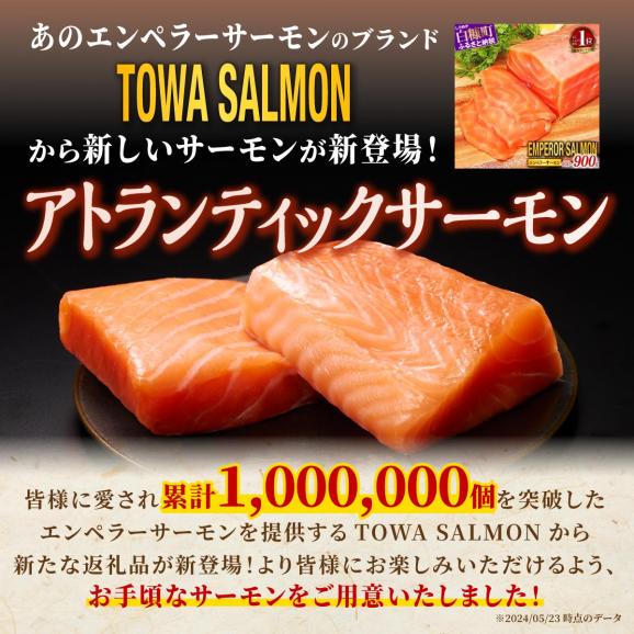 アトランティック サーモン 【800g】_T012-1111-2502｜北海道 白糠町 ふるさと納税の通販・お取り寄せなら【ぐるすぐり】