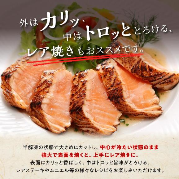 【TOWA SALMON】アトランティック サーモン 【800g】_T012-1111-260105
