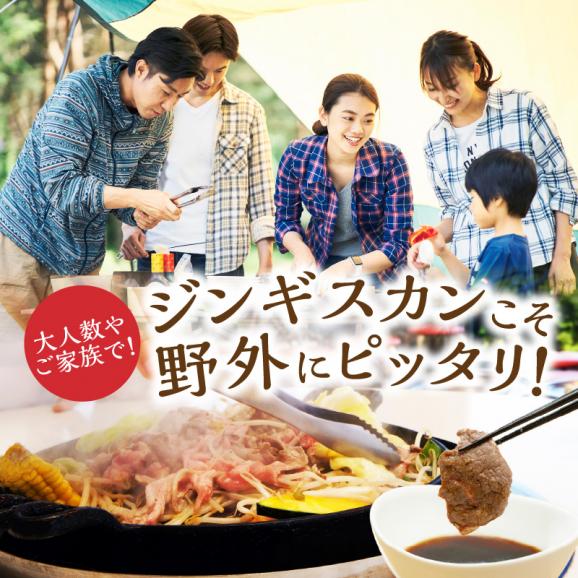 味付羊肉（らむじん）【500g】_I004-087706