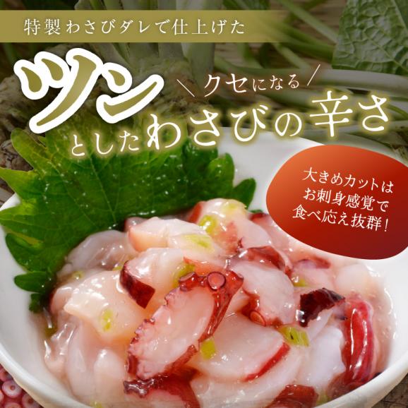 たこわさび【85g&times;4】_I005-136503