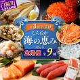 しらぬか海の恵みセット'24-'25【年3回定期便】_I050-1238