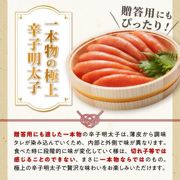辛子明太子【500g（250g×2）】_K007-0701-A05