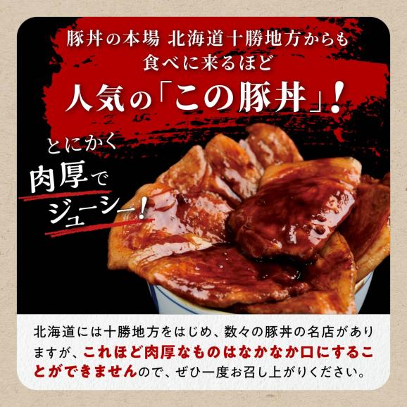 ※冷凍※この豚丼 ごちそう便セット （豚肉）【2人前】_I009-0670CZ02